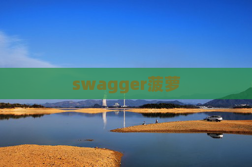 swagger菠萝